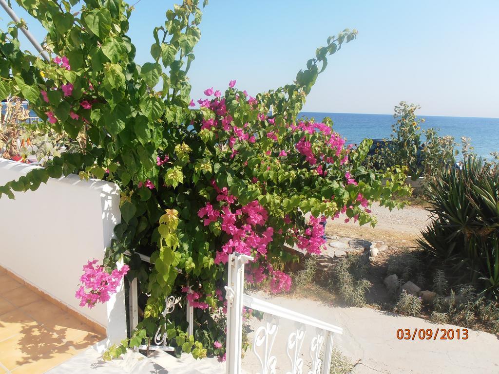 Paralia Agias Foteinis Iro Apartments المظهر الخارجي الصورة